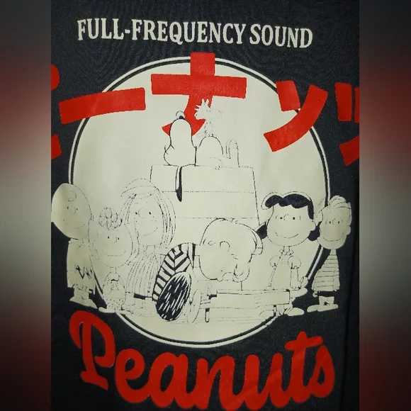 Peanuts Records Graphic Hoodie Unisex Men Women Fleece NWOT - Picture 7 of 12